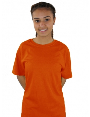 Newstead Wood House T-Shirt - Orange 